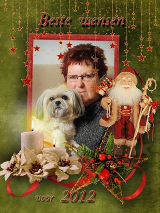 Wenskaart 2012